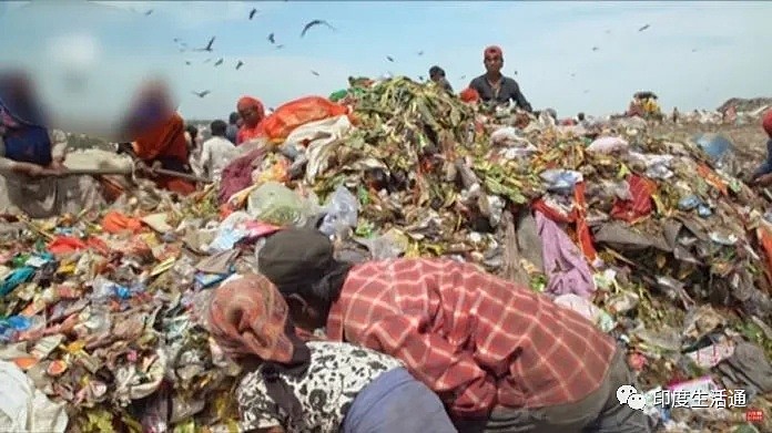 印度封城失去收入，确诊破万！数百万贫民垃圾堆中找食物（组图） - 1