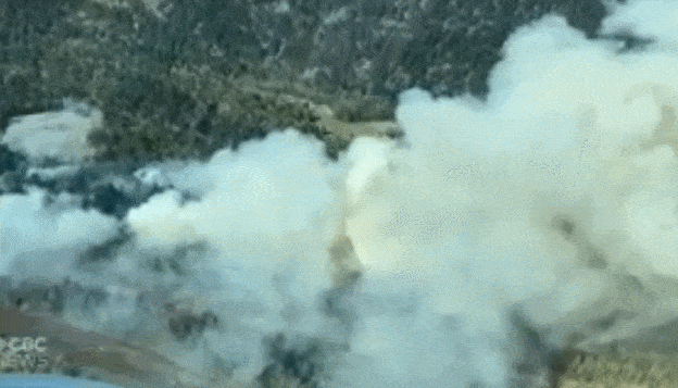 疫情没拐点，Squamish山火又爆发，烟尘漫天！温哥华市民肺快撑不住了！（组图） - 23