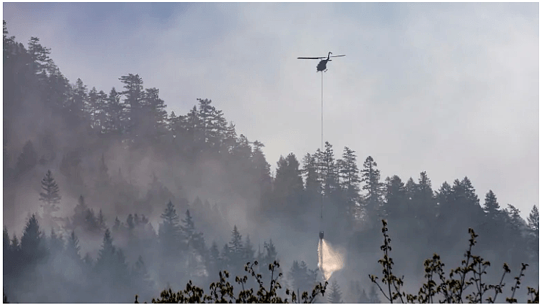 疫情没拐点，Squamish山火又爆发，烟尘漫天！温哥华市民肺快撑不住了！（组图） - 25