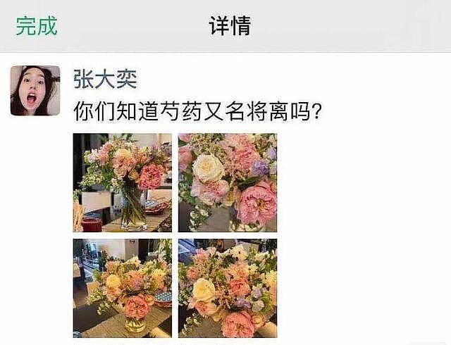 张大奕回应小三事件:一句话模糊暧昧 照常直播（组图） - 18