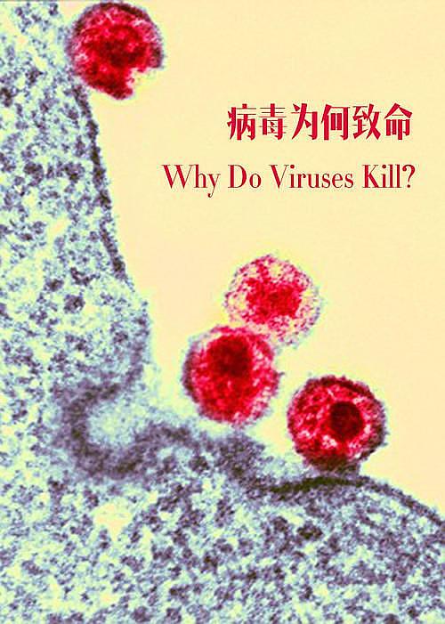 13 纪录片《病毒为何致命》海报.jpg