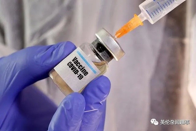 英国疫苗首次人体试验将于下周开始，专家：反应太慢，或致4万人死亡（组图） - 3