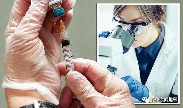 英国疫苗首次人体试验将于下周开始，专家：反应太慢，或致4万人死亡（组图） - 4
