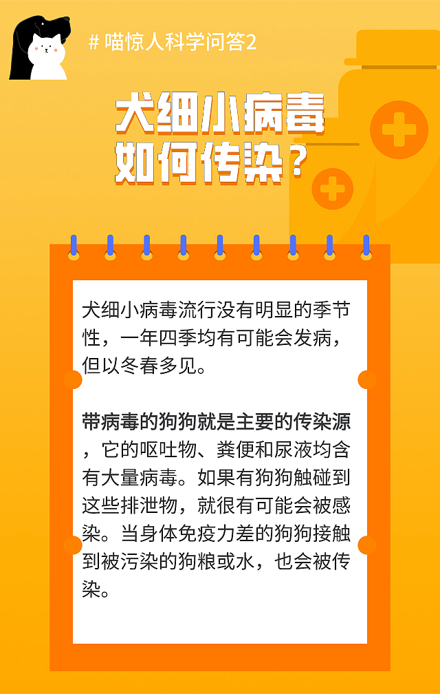 【宠物】铲屎官注意！新州狗狗传染病爆发，致死率高，60只狗狗已经离开了... - 12