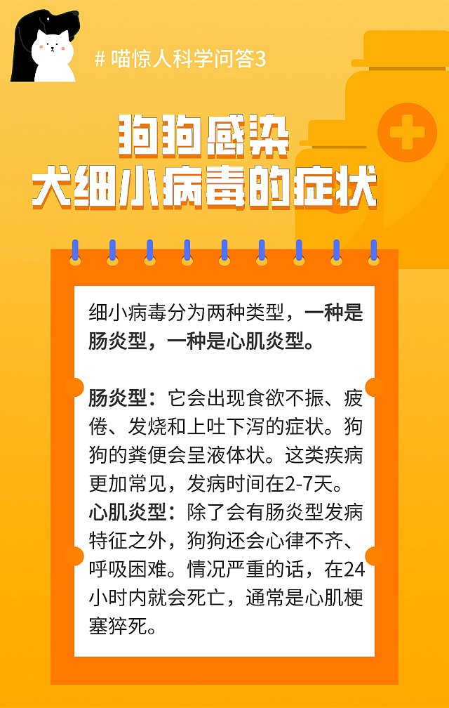 【宠物】铲屎官注意！新州狗狗传染病爆发，致死率高，60只狗狗已经离开了... - 13