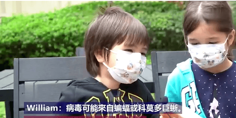 澳种族歧视抬头，7岁女孩怒斥“中国病毒”言论！中国网友大赞：三观正（组图） - 8