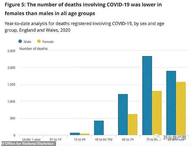 英国新冠真实死亡人数竟比公布数据高出40%！澳大利亚维珍航空宣布破产(组图) - 41