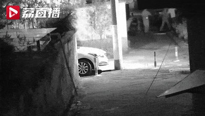 中国男子被狗骚扰扔石头驱赶，竟被狗主人捅死！网友吵翻了…（视频/组图） - 2