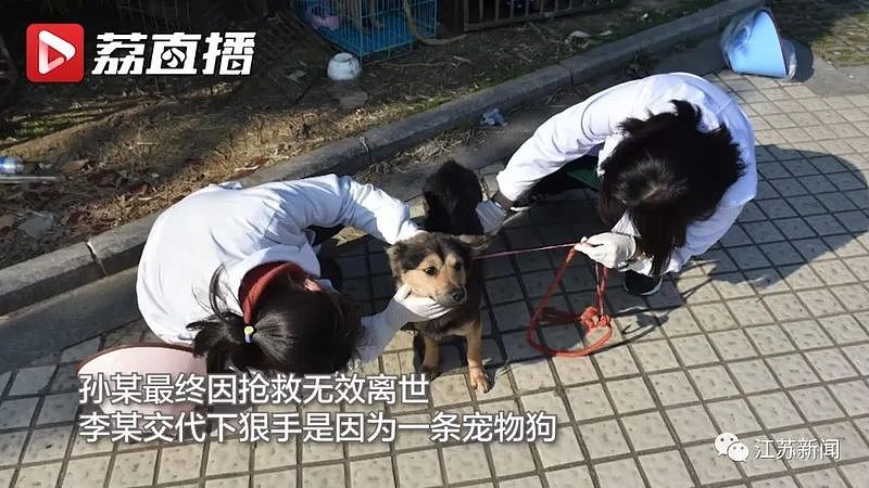 中国男子被狗骚扰扔石头驱赶，竟被狗主人捅死！网友吵翻了…（视频/组图） - 5
