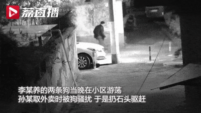 中国男子被狗骚扰扔石头驱赶，竟被狗主人捅死！网友吵翻了…（视频/组图） - 1