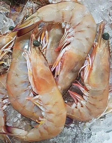 超大生蚝、虎虾吃过瘾！这些专门为墨尔本高级餐厅送海鲜的商家，现在也能配送到家了 - 8