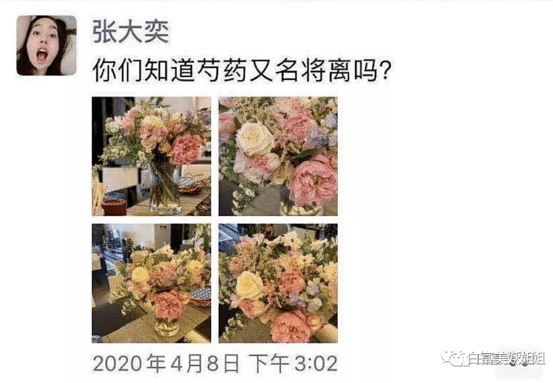 张大奕结过婚吗？和总裁再添多个新锤！没得洗了（组图） - 8