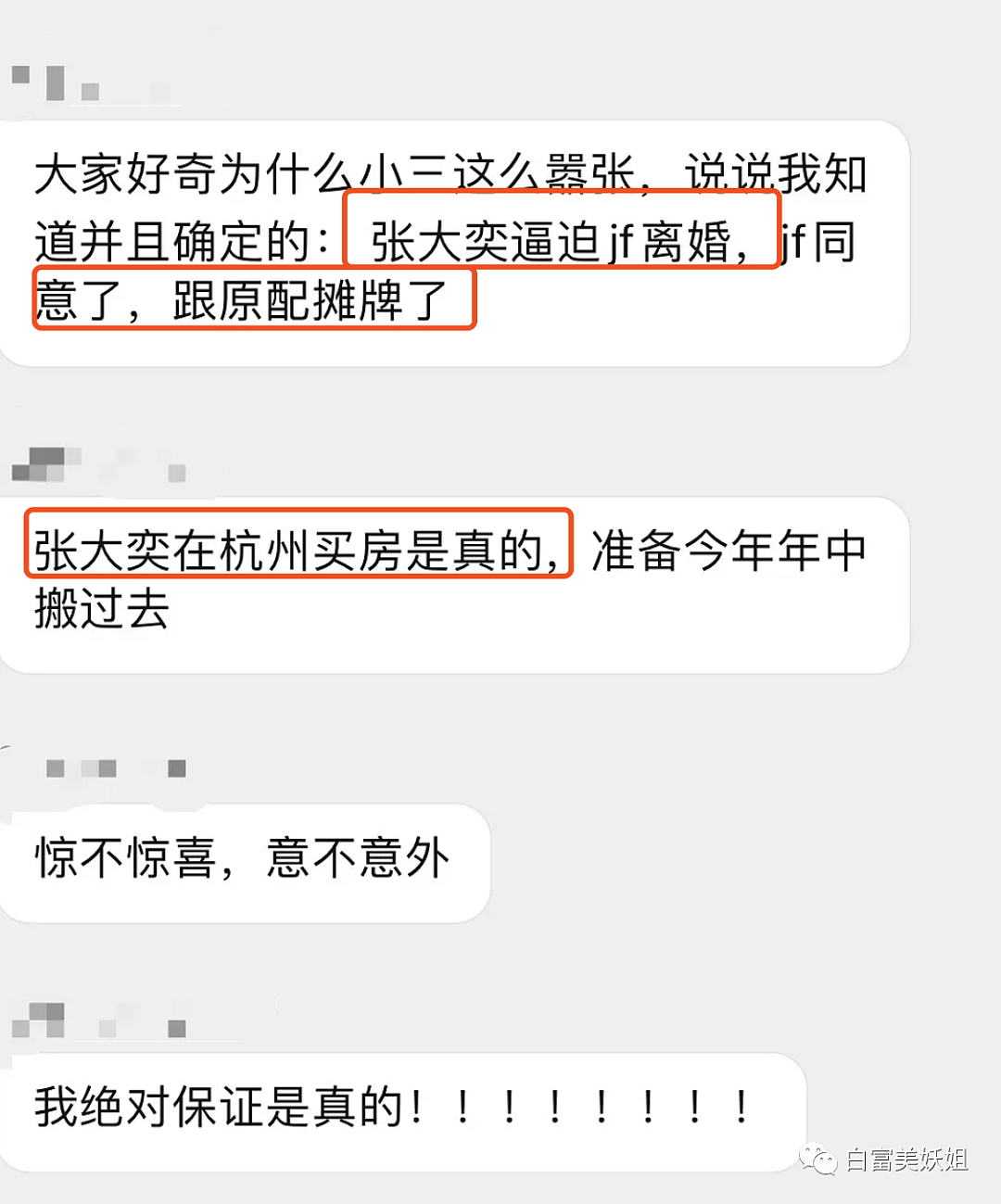 张大奕结过婚吗？和总裁再添多个新锤！没得洗了（组图） - 9