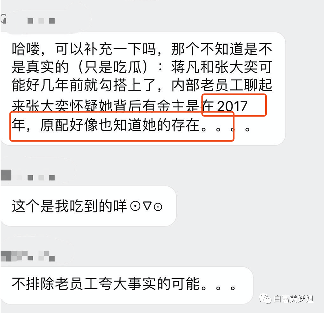 张大奕结过婚吗？和总裁再添多个新锤！没得洗了（组图） - 20