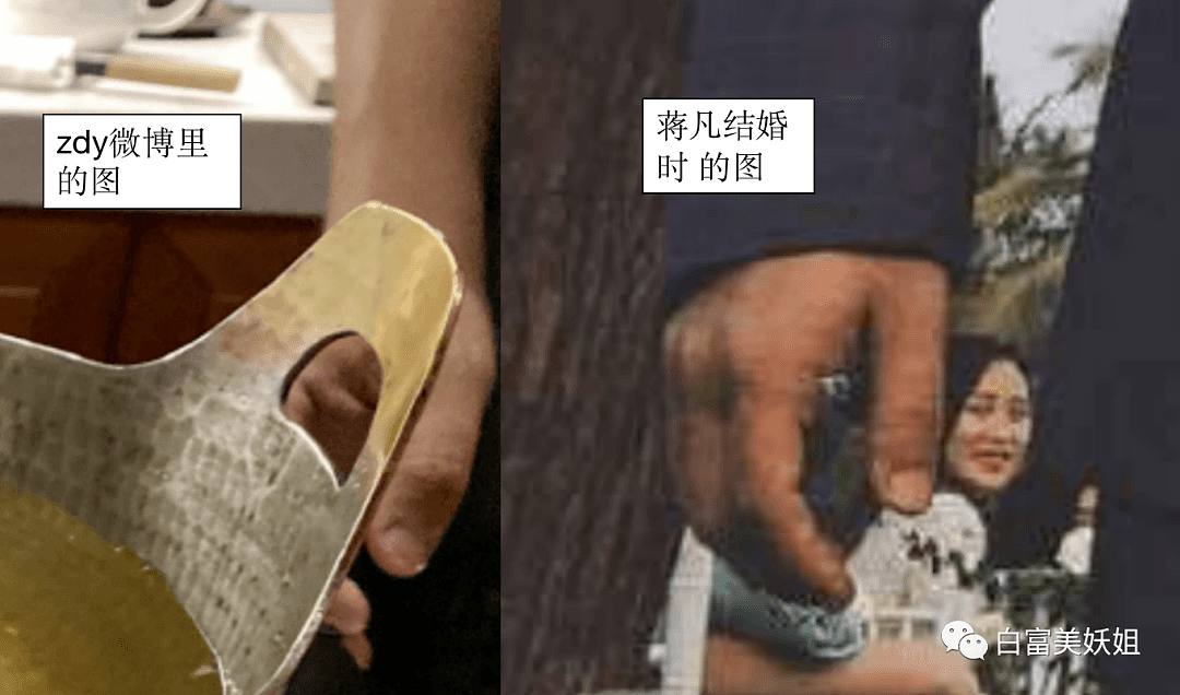 张大奕结过婚吗？和总裁再添多个新锤！没得洗了（组图） - 19