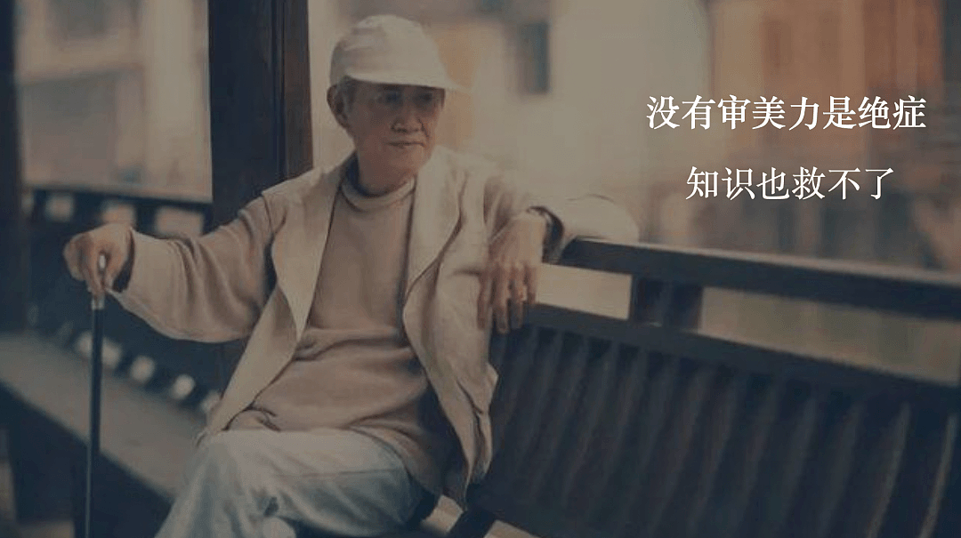 “窃格瓦拉”成为新偶像，张文宏沦为“崇洋范”：中国式审丑，正在掏空年轻人(组图） - 25