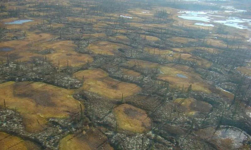 史无前例！澳洲珊瑚大面积白化，上万贻贝死在海滩，这场灾难，最终买单的是人类自己 - 32