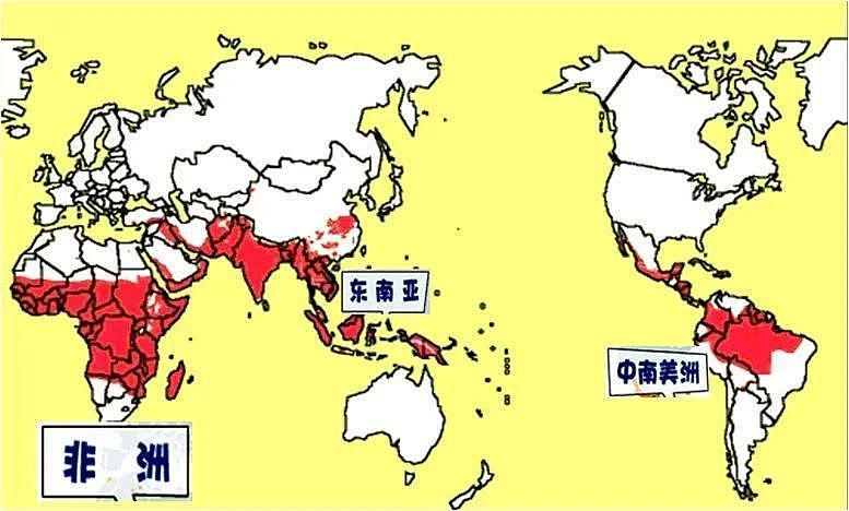 中国小伙从非洲回国高烧39.5℃却不是新冠，而是另一种输入型病例（组图） - 4