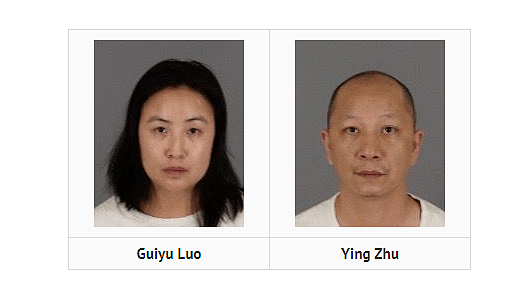 华裔夫妇非法种植大麻，偷取18万美金电气！丈夫藏在阁楼的一个狭小空间里，遭警方逮捕（组图） - 7