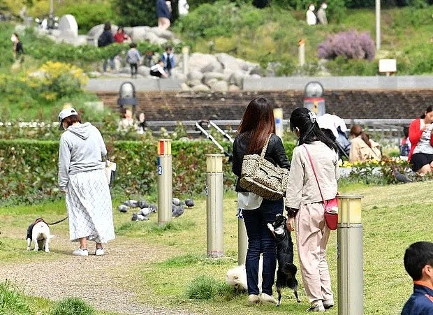 日本疫情未结束，北海道或发生9.3级地震，30米高的海啸？(图） - 17