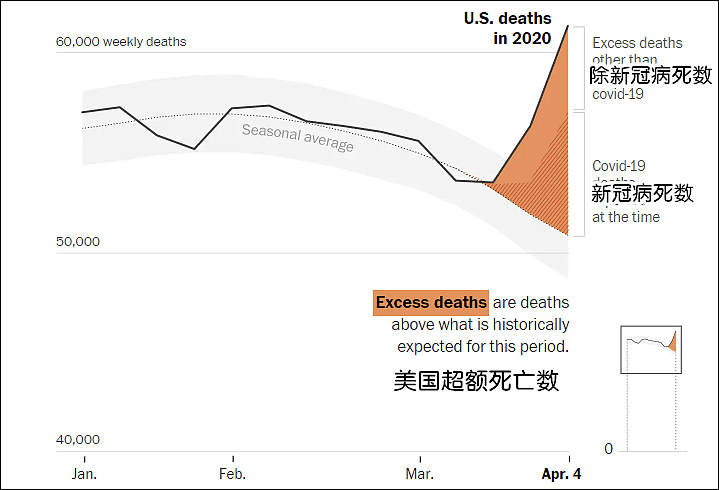 究竟有多少美国人因新冠而死?耶鲁报告这么说的（图） - 3