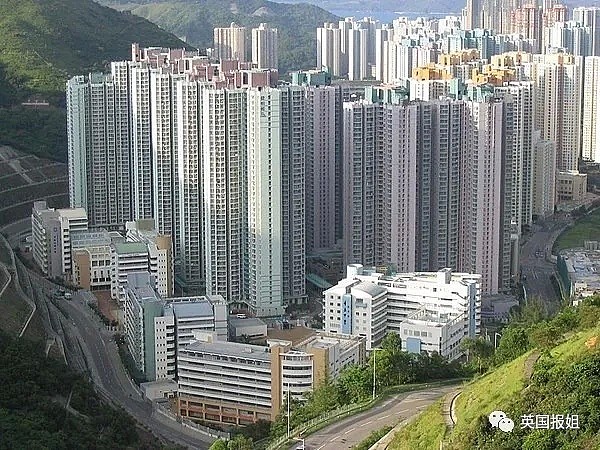 香港穷人的窒息生活：睡笼子，住垃圾堆，被富人疯狂吸血（组图） - 16