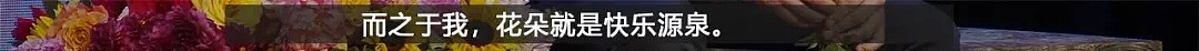 凌晨4点，全纽约的垃圾桶都开满了鲜花：这是我见过最浪漫的犯罪（组图） - 51