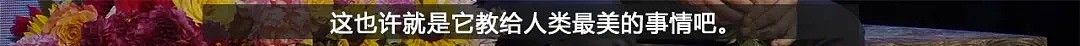 凌晨4点，全纽约的垃圾桶都开满了鲜花：这是我见过最浪漫的犯罪（组图） - 54