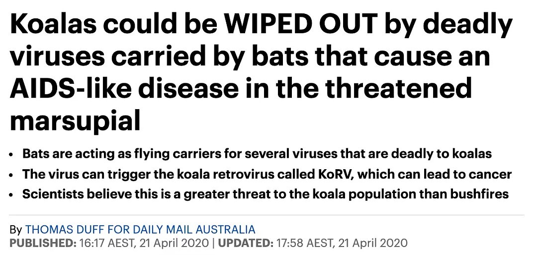 新冠之后又现“蝠灾”！澳洲发现蝙蝠传播的又一新型病毒，科学家紧急呼吁采取行动 - 4