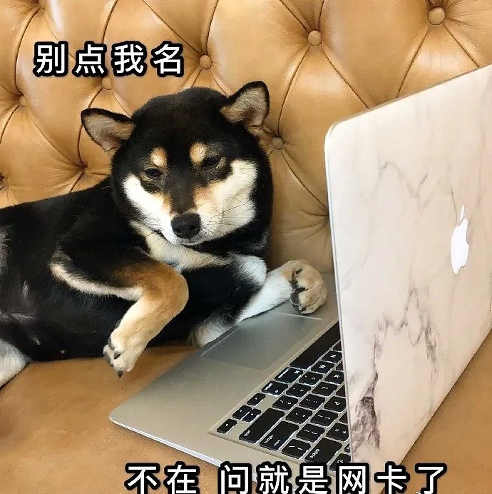 【爆笑】中国留学生们上网课都不耐烦了！UBC、SFU学生纷纷请愿，要求学校退学费（组图） - 6