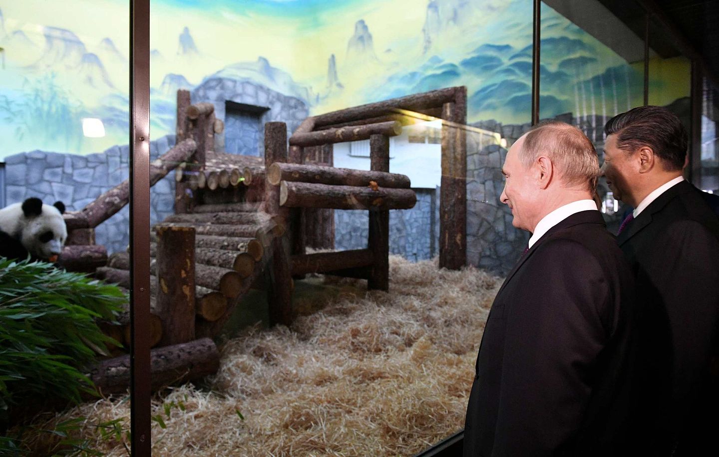 俄罗斯总统普京与中国国家主席习近平参加莫斯科动物园熊猫馆开馆仪式。（Reuters）