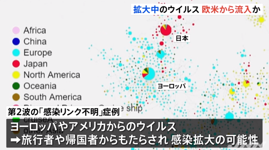 日本国立传染病研究所重大发现：本地流行的新冠病毒或来自欧美！（组图） - 16