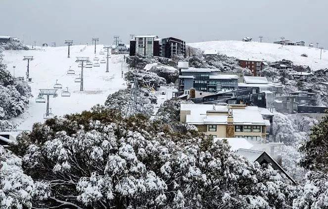 一夜入冬！寒流席卷昆士兰，破30年低温记录，恐跌到-2℃！谨防疫情、流感反扑爆发 - 33