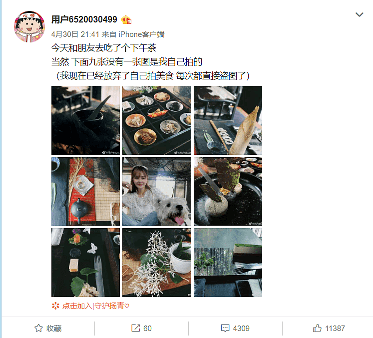 周扬青赖床不起，周妈妈想奇招帮女儿上微博热搜，吓得她赶紧坐起来找手机（组图） - 3