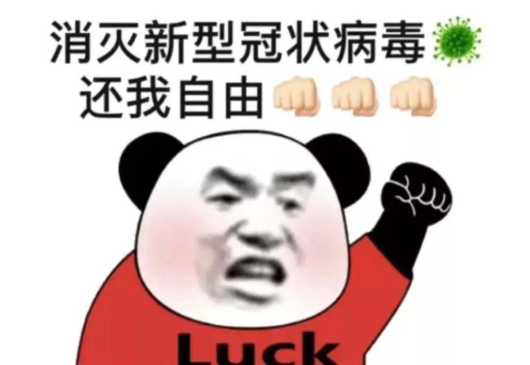 快解封吧！悉尼爸妈都被逼疯了，看看这些熊孩子，气到原地爆炸...哈哈哈哈哈哈哈哈哈哈哈哈哈 - 1