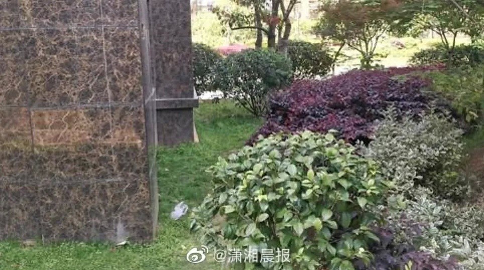 37岁海归女博士携女跳楼自杀：妈妈，我不想死，求求你别杀我！（组图） - 1