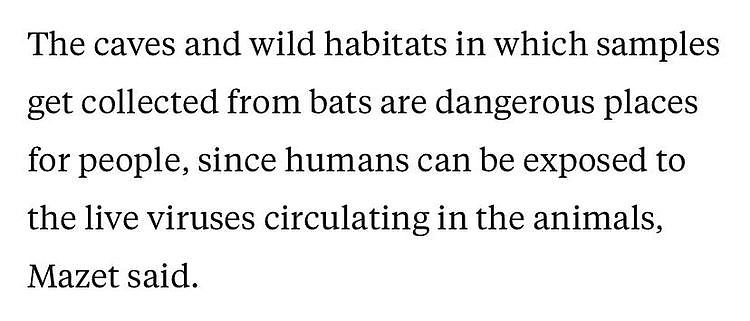 △马泽特说：“采集样本的洞穴和野外环境对人们来说是危险的地方，因为可能会接触到动物体内存活的病毒 。”