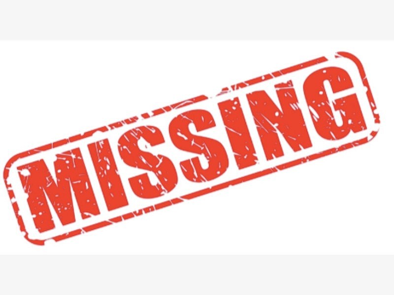 missing-1551469542-8361.jpg,0
