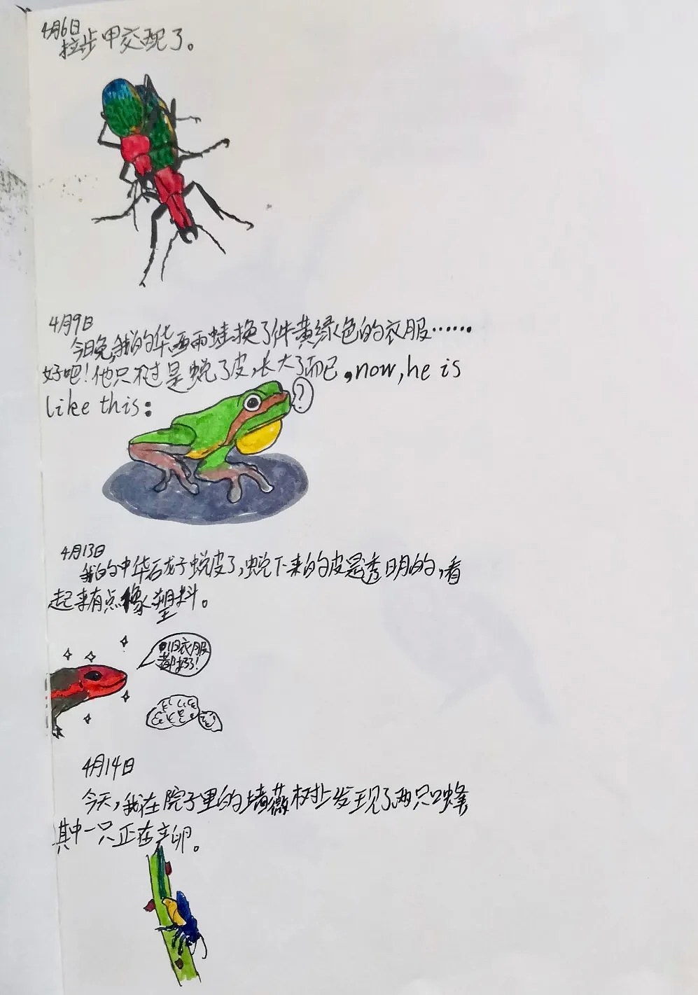 中国小学生不停抓虫子回家一不留神，“千足虫”爬进妈妈被子里！后果“惨烈”...（组图） - 11