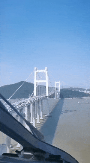 豆腐渣工程？中国广东虎门大桥异常抖动，桥面如波浪起伏！网友：太吓人了，摇得人头晕（组图） - 8