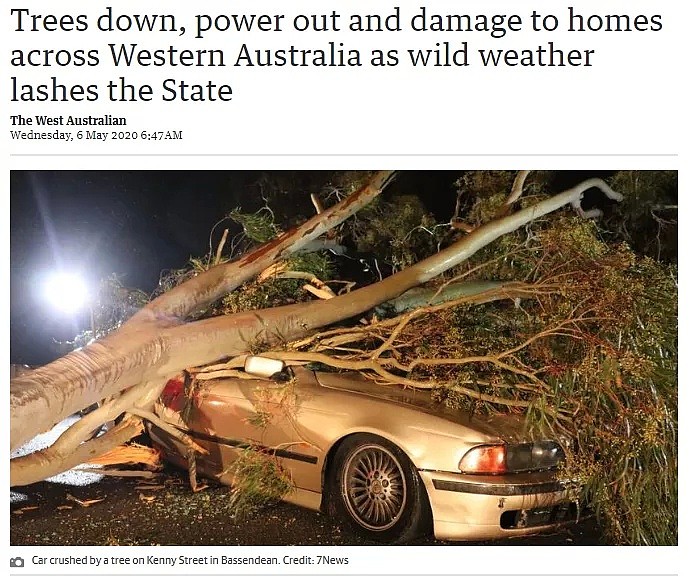 妖风阵阵！珀斯50000多户家庭断电，大树折断，出门一定要注意安全 - 1