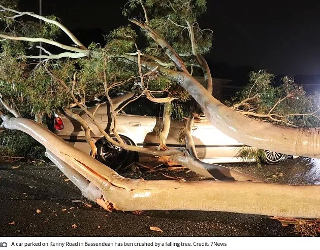 妖风阵阵！珀斯50000多户家庭断电，大树折断，出门一定要注意安全 - 2