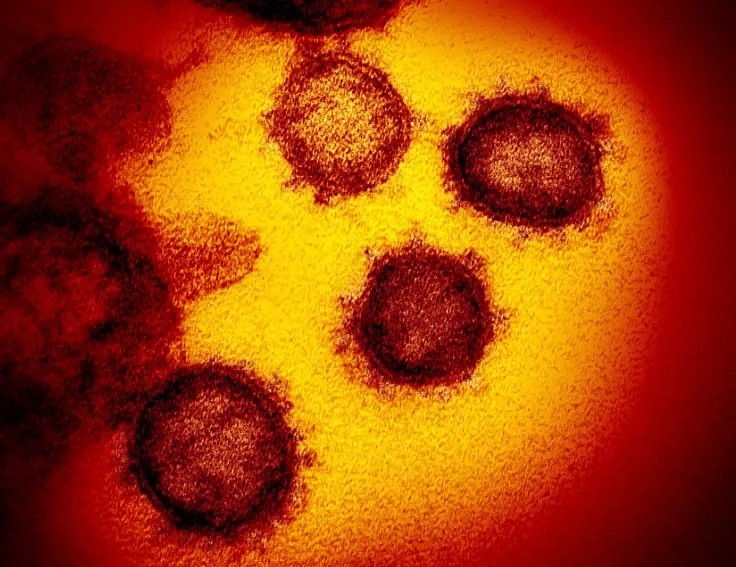 专家黄色预警 病毒在进化变异 疫苗或失效！这场battle人类会输？（组图） - 7