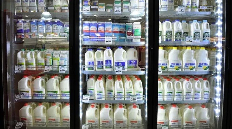 澳洲将面临“奶荒” 奶农人数持续下降，澳洲奶业危在旦夕！（组图） - 3