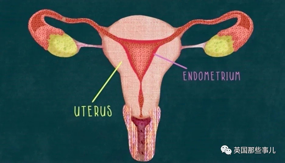 “女人的月经有什么好处？” 有科学家解释了一下，让人好震惊…（ 组图） - 9