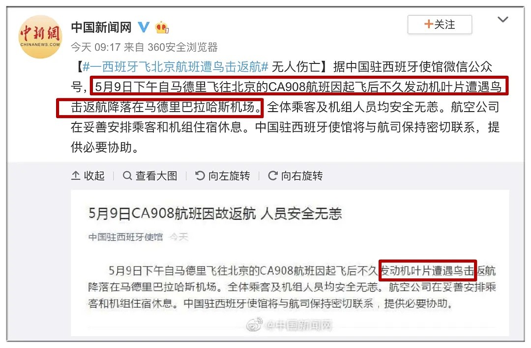 中国留学生回国飞机因撞鸟返航，居然有人说“感谢鸟的伟大牺牲”（组图） - 9