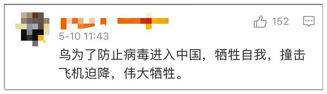 中国留学生回国飞机因撞鸟返航，居然有人说“感谢鸟的伟大牺牲”（组图） - 20