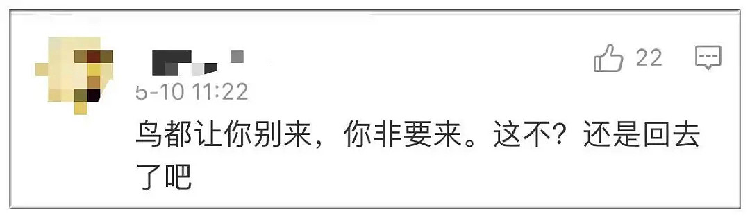 中国留学生回国飞机因撞鸟返航，居然有人说“感谢鸟的伟大牺牲”（组图） - 24
