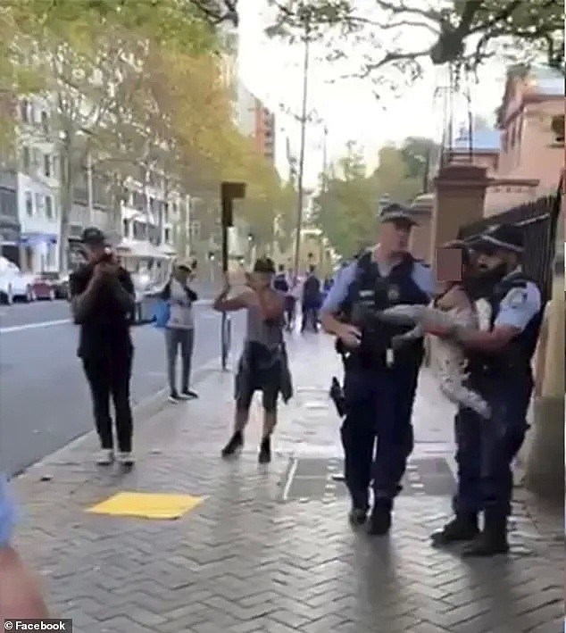 悉尼妈妈抱4岁儿子上街游行，被警察逮捕！原因曝光后，被骂上头条，疫情还未结束，请别这么作... - 10