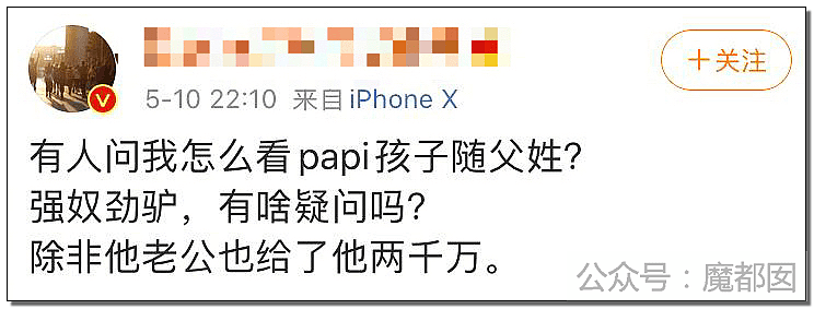 Papi酱被人万般辱骂成驴？只因孩子没跟她姓，和丈夫离婚还“弃”了孩子（组图） - 13